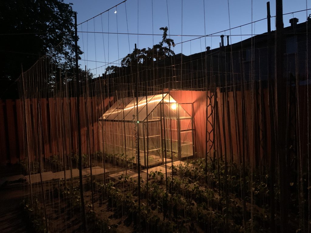 Greenhouse at night